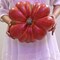 Large Artificial Pumpkin, 12.6inch Hand-Made Fake Pumpkin for Fall Harvest Festival Thanksgiving Halloween Decor (Orange Speckles)
